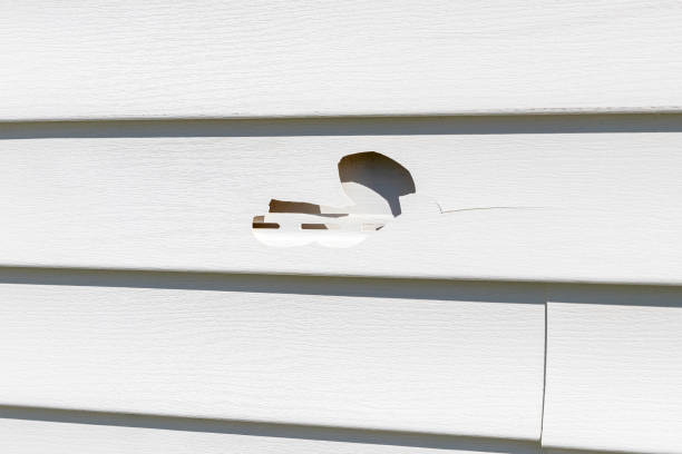 Best Construction Debris Removal  in Helena, MT
